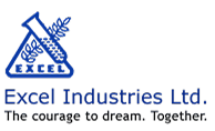 EXCEL logo