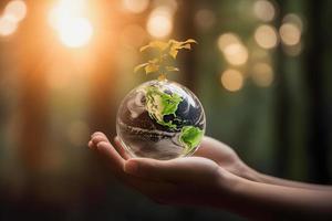 Impact Story